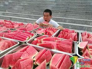 浙江学校吃瓜,揭秘校园里的那些“热辣”话题