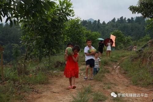 乡村吃瓜体验,体验原汁原味的乡村生活
